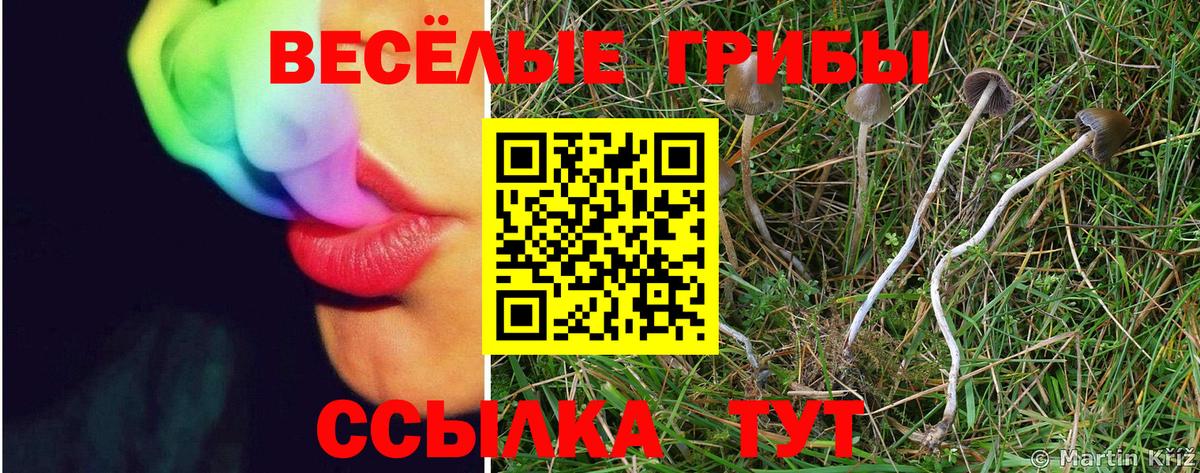 Троицк  Галлюциногенные грибы мицелий  Псилоцибиновые грибы MAGIC MUSHROOMS  Вход с VPN 