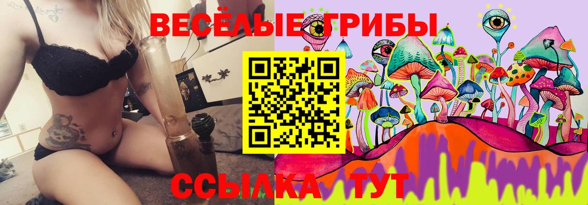 Галлюциногенные грибы мухоморы Троицк